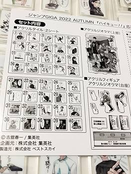 Amazon.co.jp: ジャンプGIGA 2022 AUTUMN ハイキュー!! 応募者